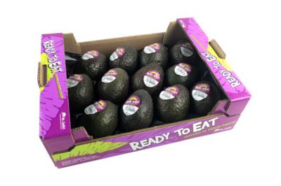 Avocado per kist