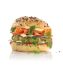 Salomon Green Oat Burger 40 x 110gr