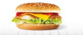 Vegetarische Kipburger 50x90gr DS 4.5kg